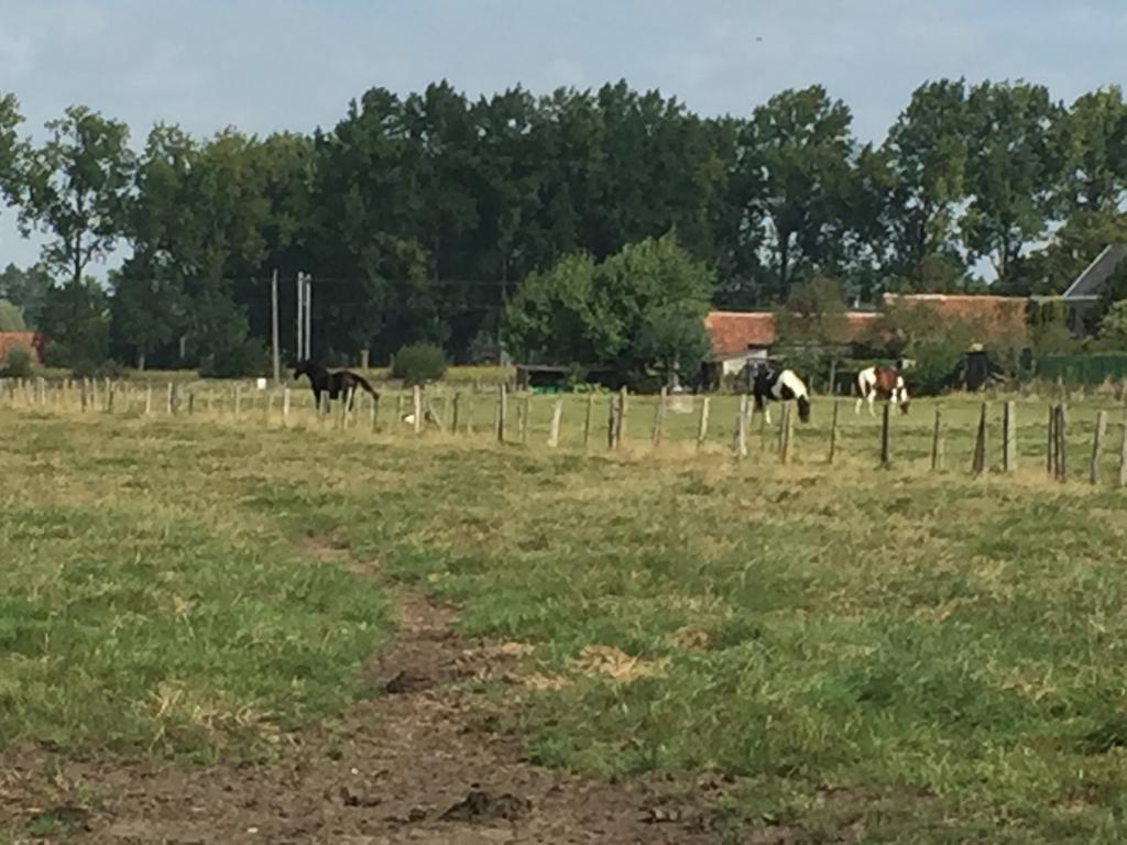 فيلا Vakantielogies Boerke Naas بروج المظهر الخارجي الصورة